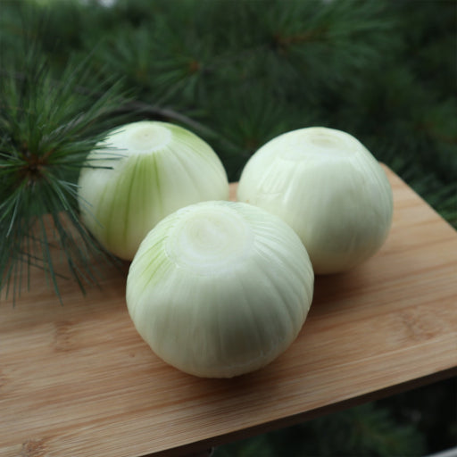 [J&G Market] Peeled Onion / 깐양파 500g